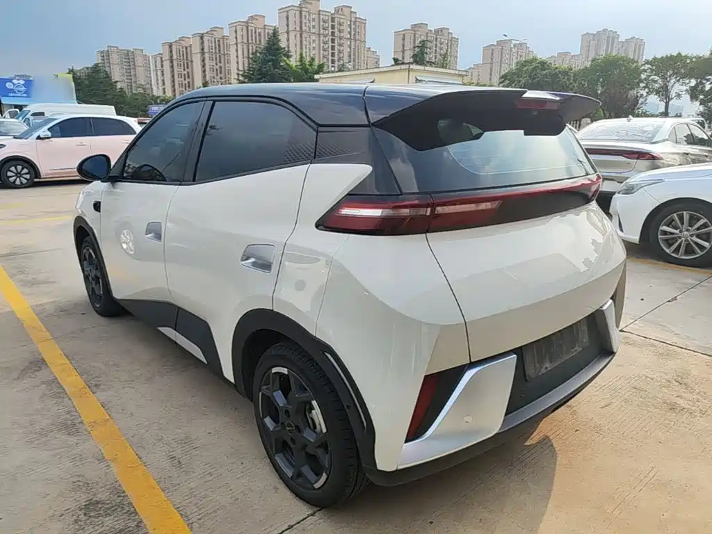 BYD Seagull 2026 2025 Smart Drive Edition 305km Freedom Version