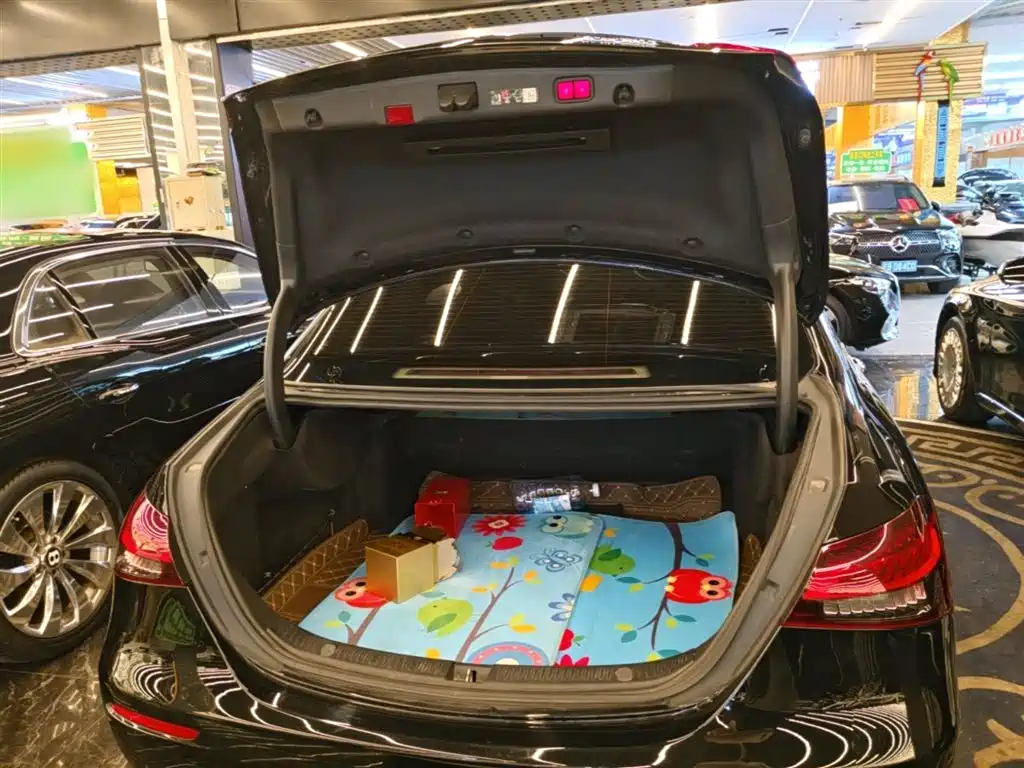 Mercedes-Benz E-Class 2023 E 300 L Luxury фото 19