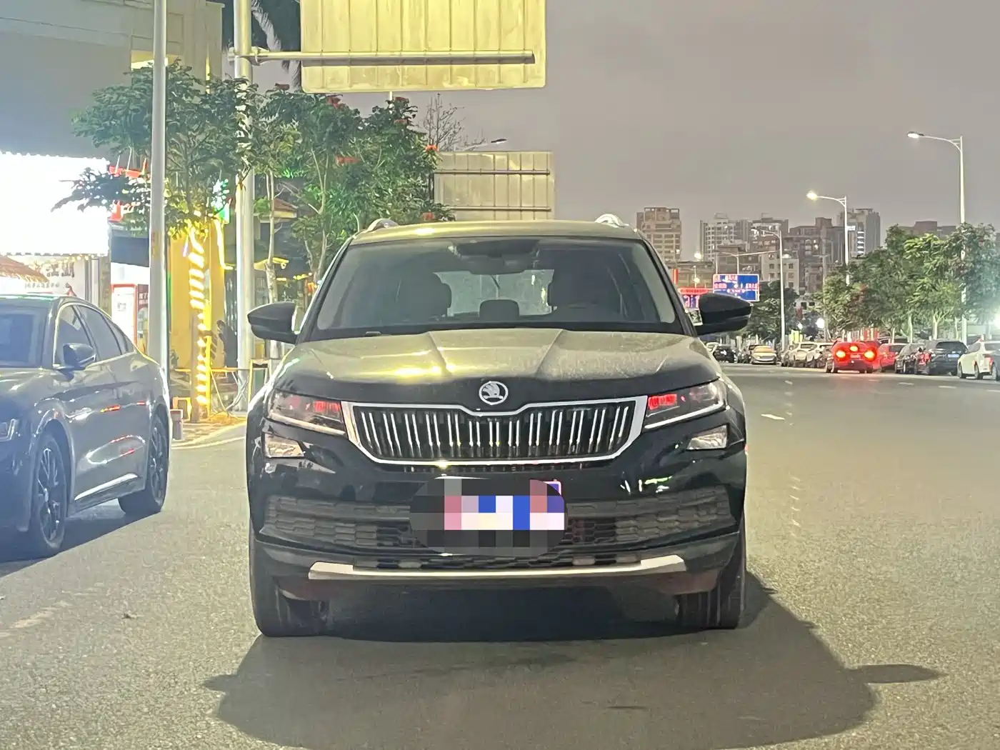 Škoda Kodiaq 2020 TSI330 5-Seater 2WD Luxury Premium Edition фото 11