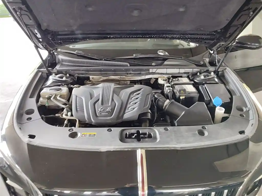 Hongqi H5 2023 1.5T DCT Smart Connect Flag Rhythm фото 20