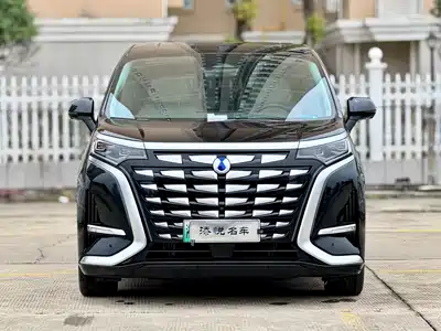 Denza D9