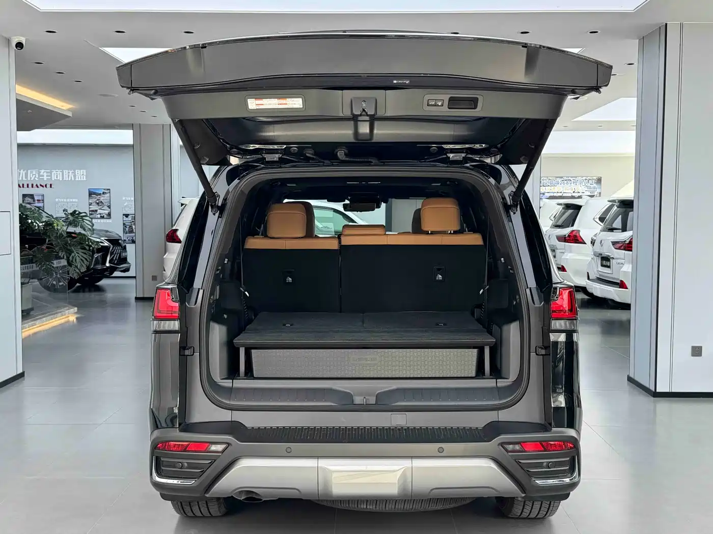 Lexus LX 2025 700h Boundary Edition фото 18