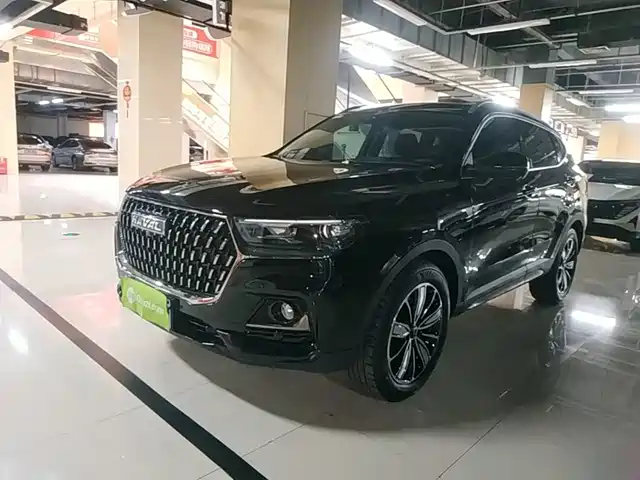  Haval Haval H6 2023 National Trend Edition 1.5T Automatic Champion