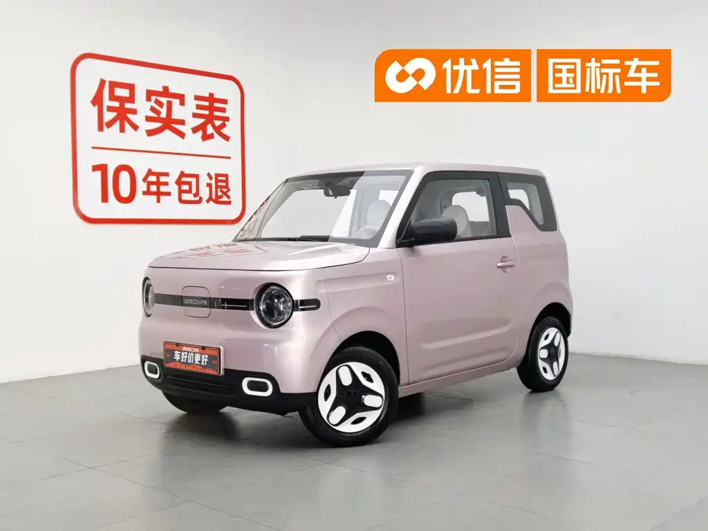 Geely Galaxy Panda 2025 Panda mini 210km Vitality Bear