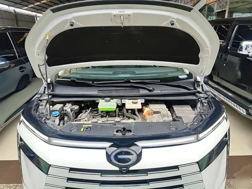 GAC Trumpchi Trumpchi E8 NEV 2024 Model 150km MAX+ фото 20