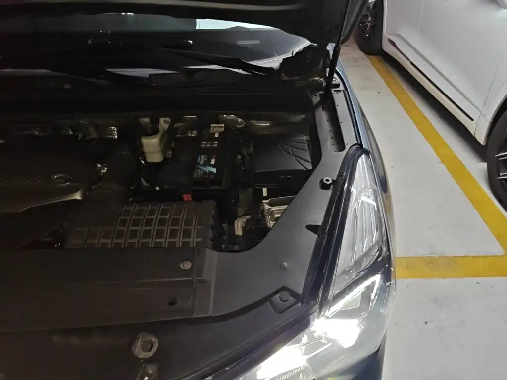Фото 20 - GAC Trumpchi GS8