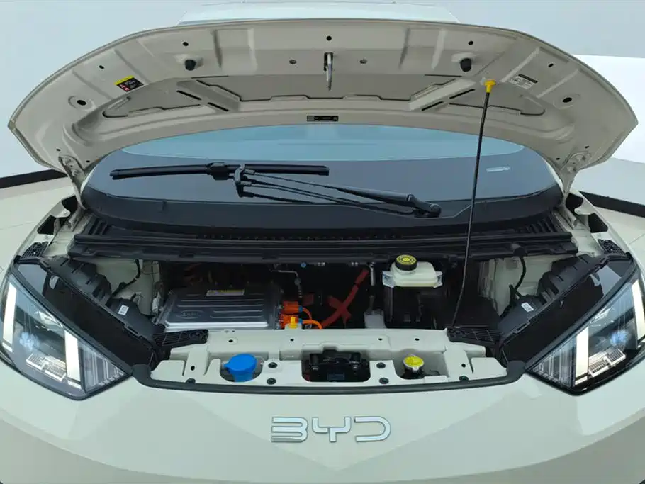 BYD Seagull 2025 Smart Drive Edition 305km Freedom Version фото 10