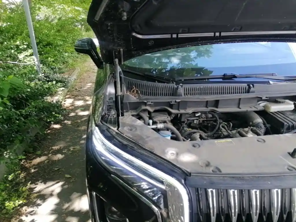Hongqi HQ9 PHEV 2024 Model 2.0T AWD Business Edition фото 24