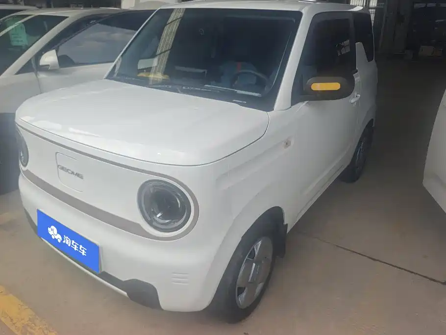 Geely Galaxy Panda 2024