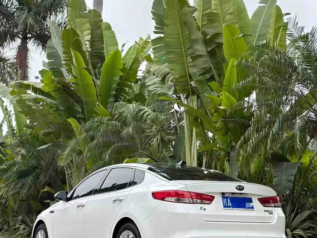 Kia K5 2016 1.6T Automatic LUX фото 8