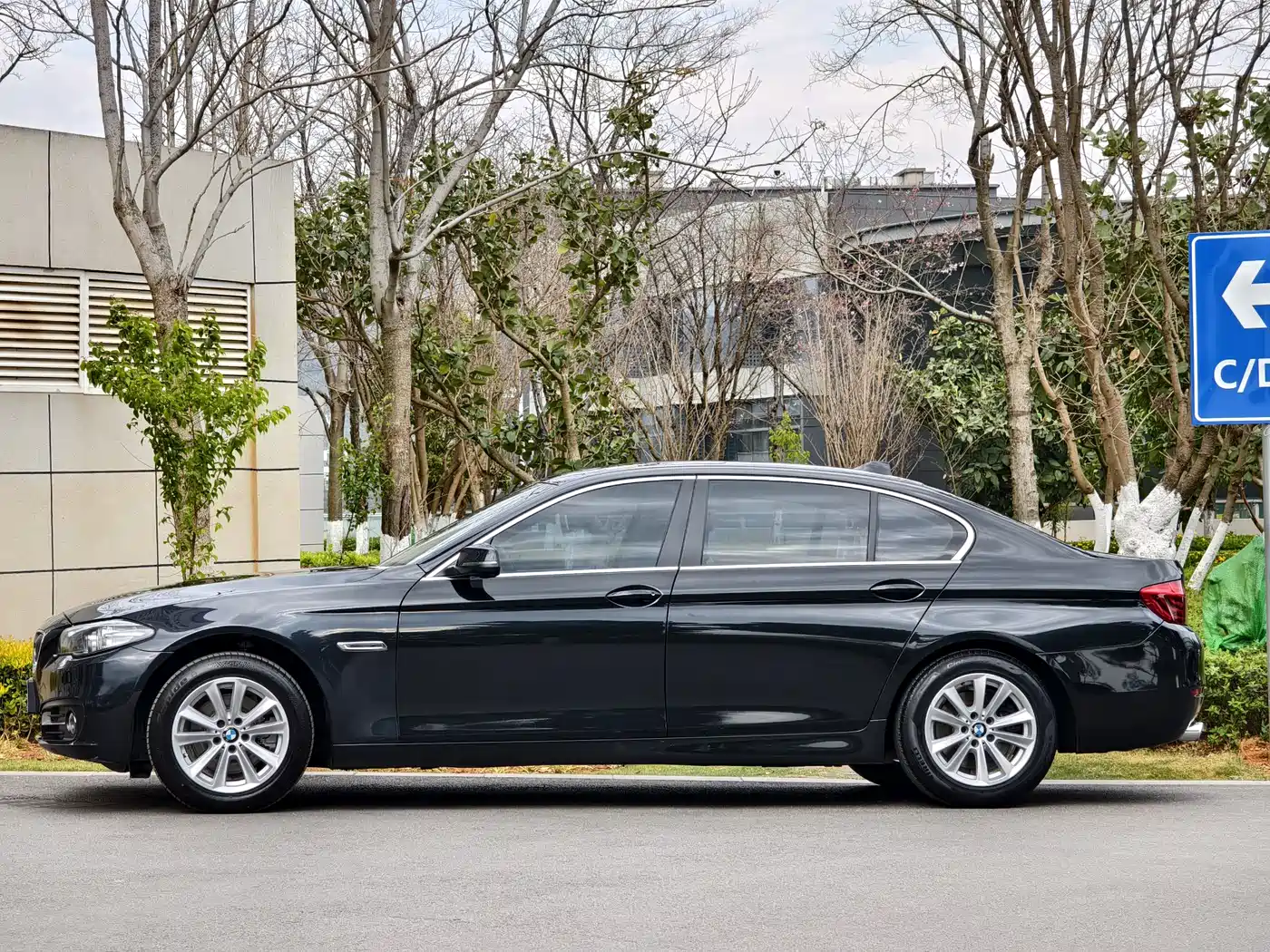 BMW 5 Series 2014 520Li Elegance фото 4
