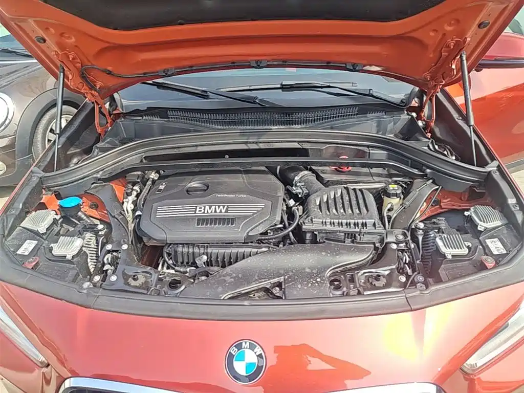 BMW X2 (Import) 2019 sDrive20i M Off-Road Package China VI фото 20