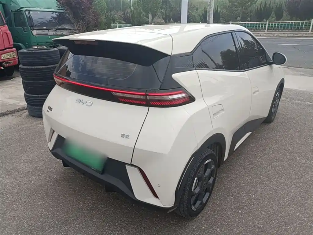 BYD Seagull 2024 Glory Edition 305km Freedom Edition фото 7