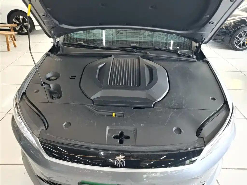 BYD Qin PLUS 2025 EV Smart Drive Edition 510KM Leading Type фото 20