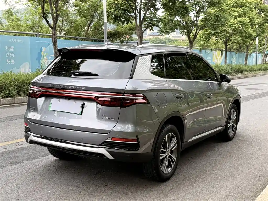 BYD Song Pro New Energy 2022 DM-i 51km Luxury фото 3