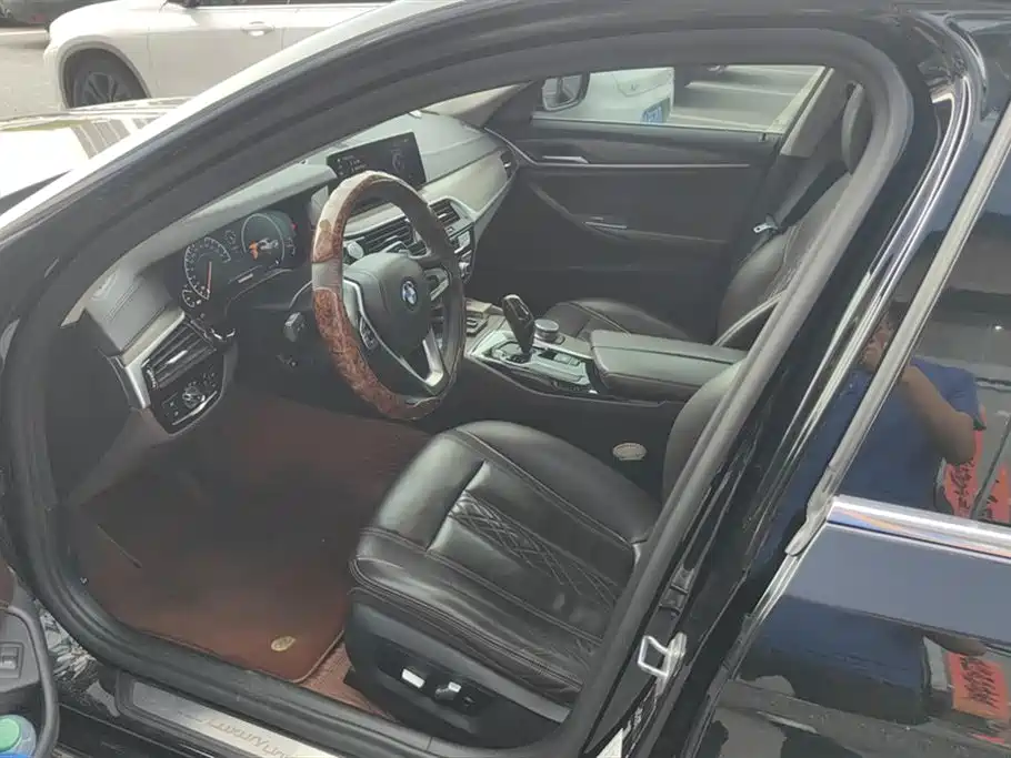 BMW 5 Series 2019 530Li Leading Luxury Package фото 9