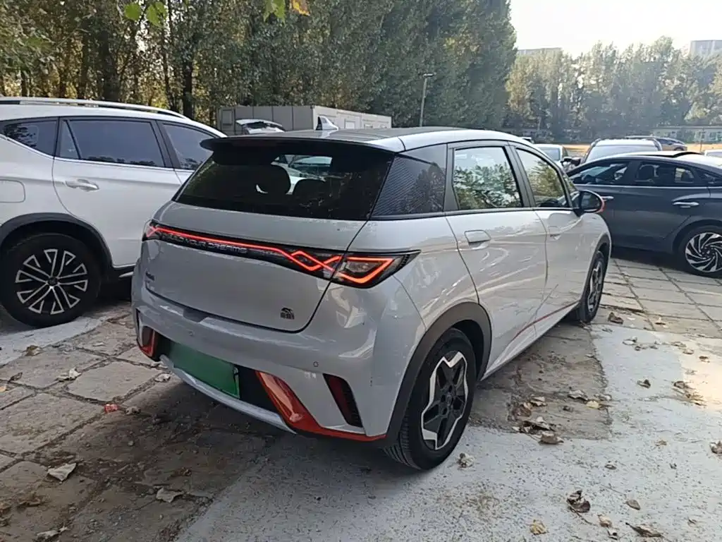 BYD Dolphin 2021 2021 405km Freedom Edition