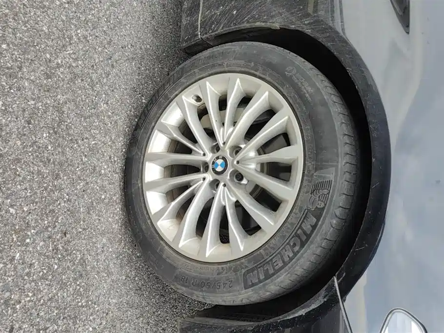 BMW 5 Series 2019 530Li Leading Luxury Package фото 6
