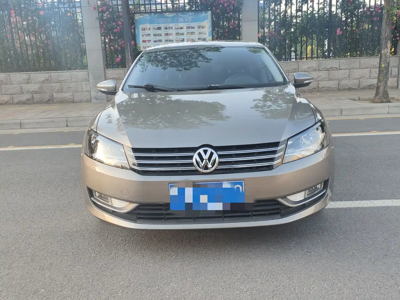 Volkswagen Passat 2014 1.4TSI DSG Luxury Edition фото 2
