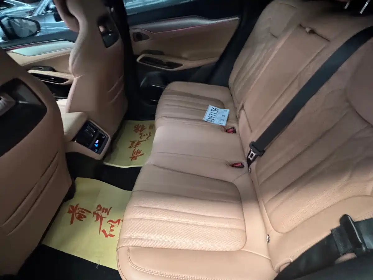 BYD Song L EV 2025 Smart Drive 550km Excellence фото 23