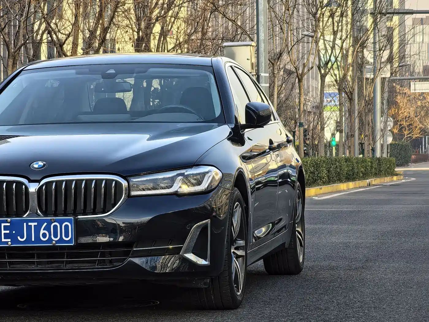 BMW 5 Series 2021 530Li Leading Luxury Package фото 11