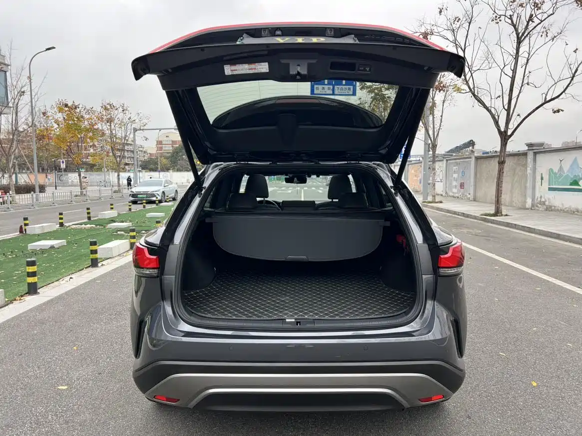 Lexus RX New Energy 2023 450h+ 4WD Enjoyment фото 17