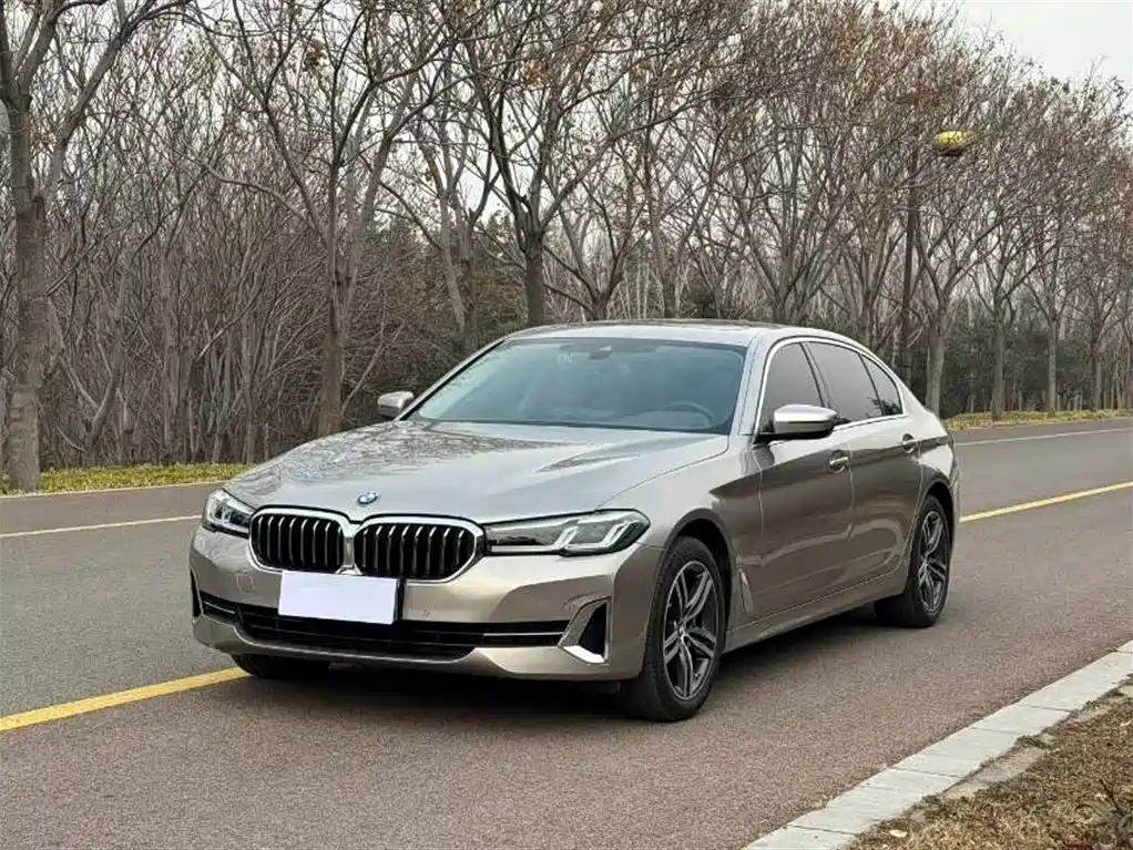 BMW 5 Series 2022 530Li Leading Luxury Package фото 3