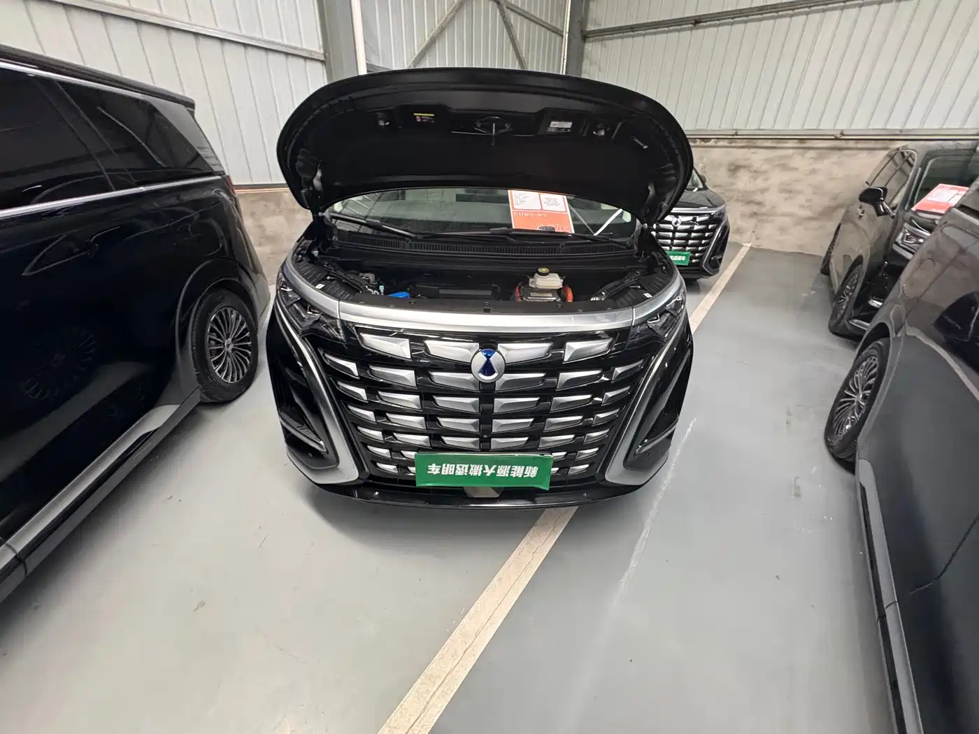 Denza D9 2024 DM-i 980 AWD Flagship фото 43