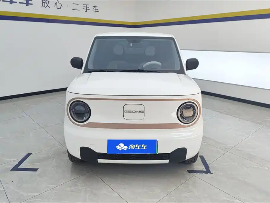 Geely Galaxy Panda 2024 Panda mini 200km Endurance Bear фото 2