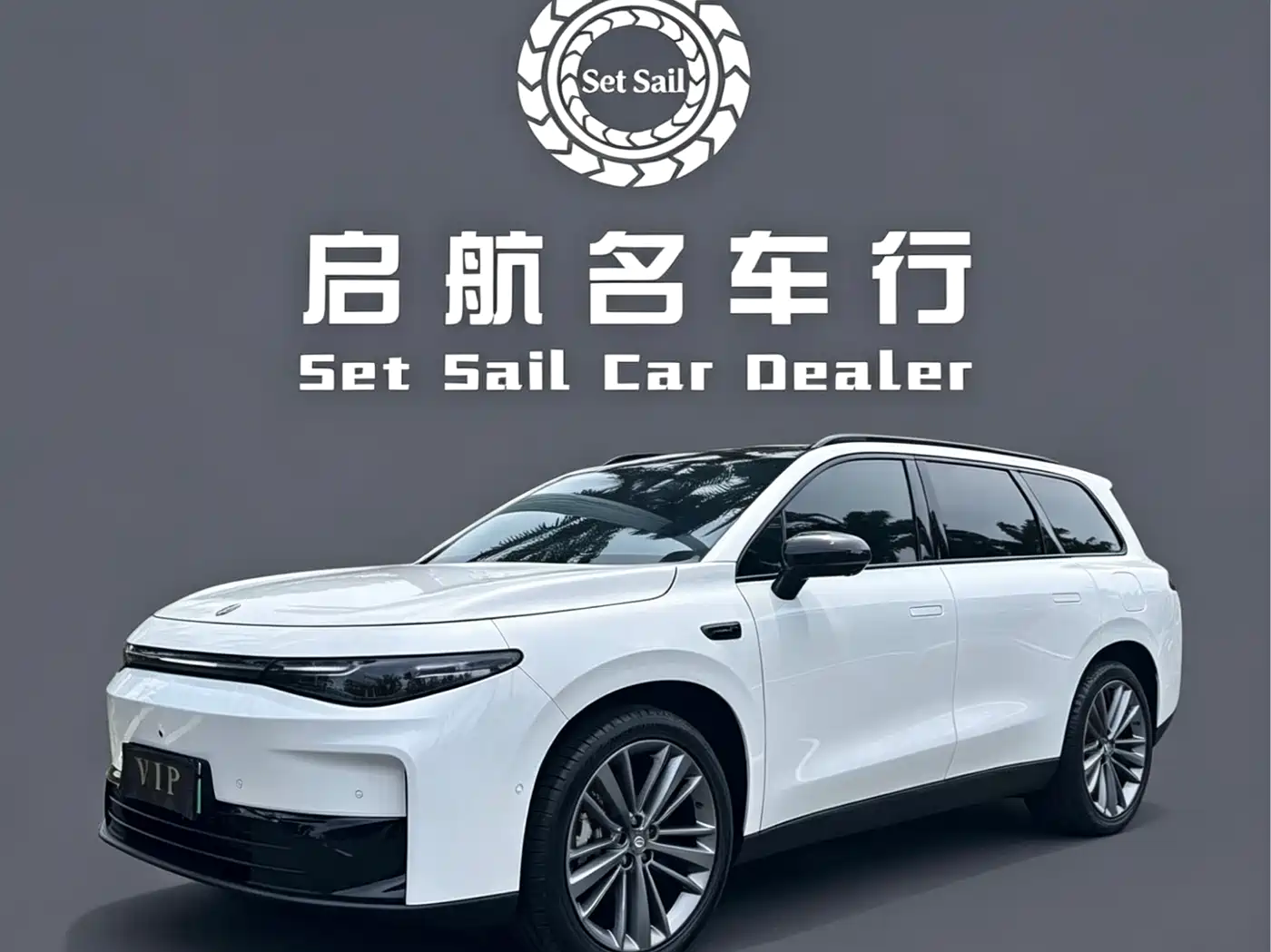 Leapmotor C16 2024 Pure Electric 520 Premium Edition