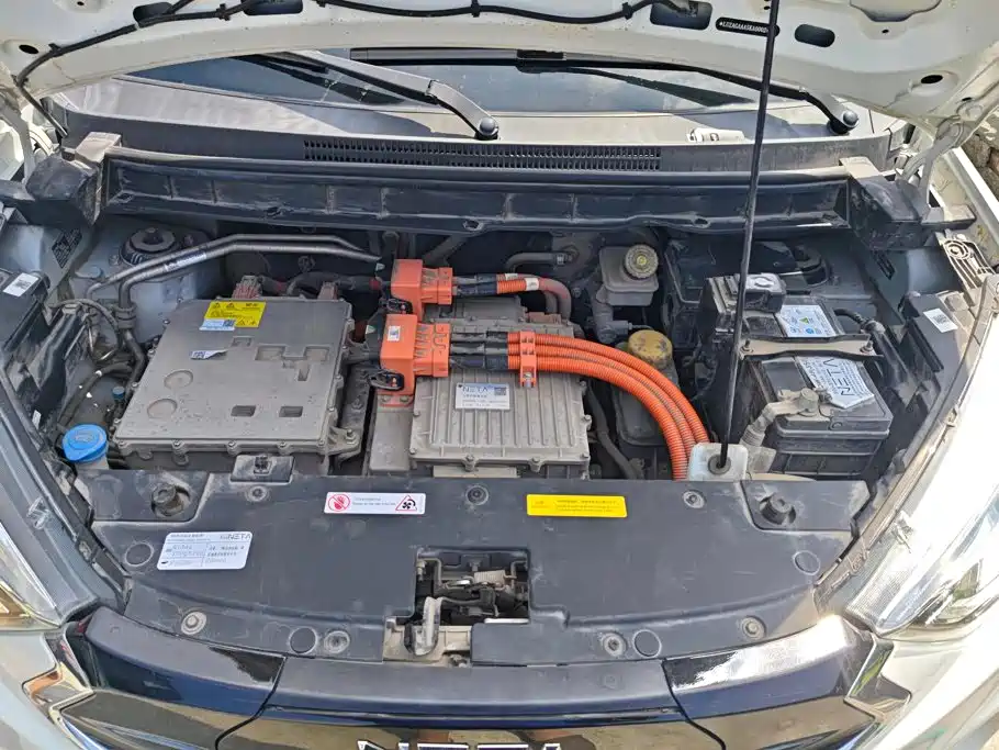 Nezha Auto Nezha N01 2019 2019 380i