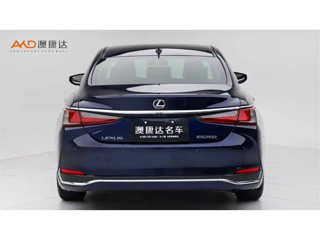 Lexus ES 2020 Model 260 Excellence Edition фото 4