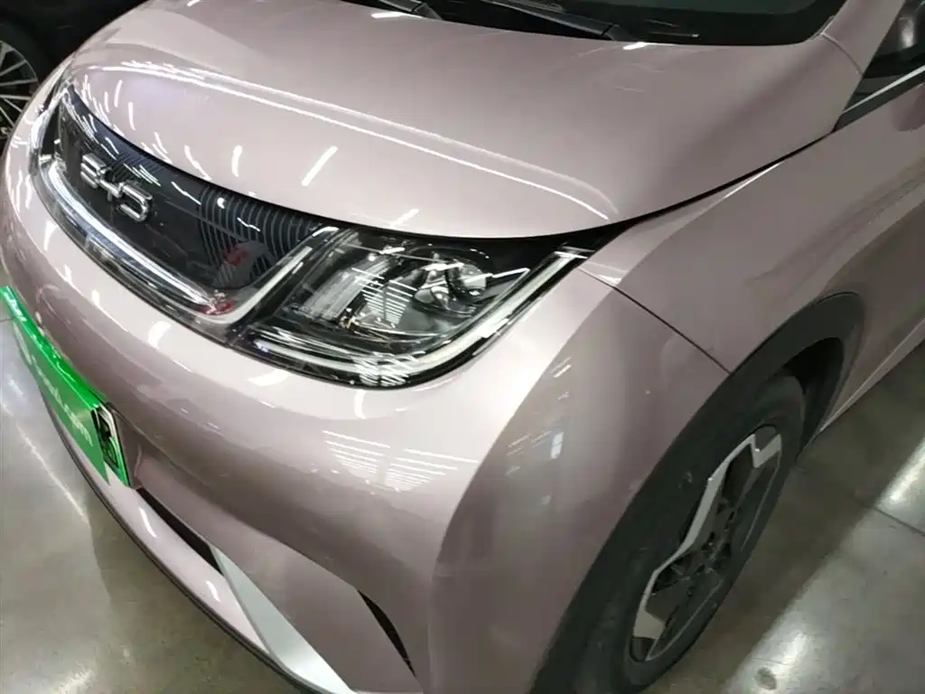 BYD Dolphin 2021 Model 405km Fashion Edition фото 18