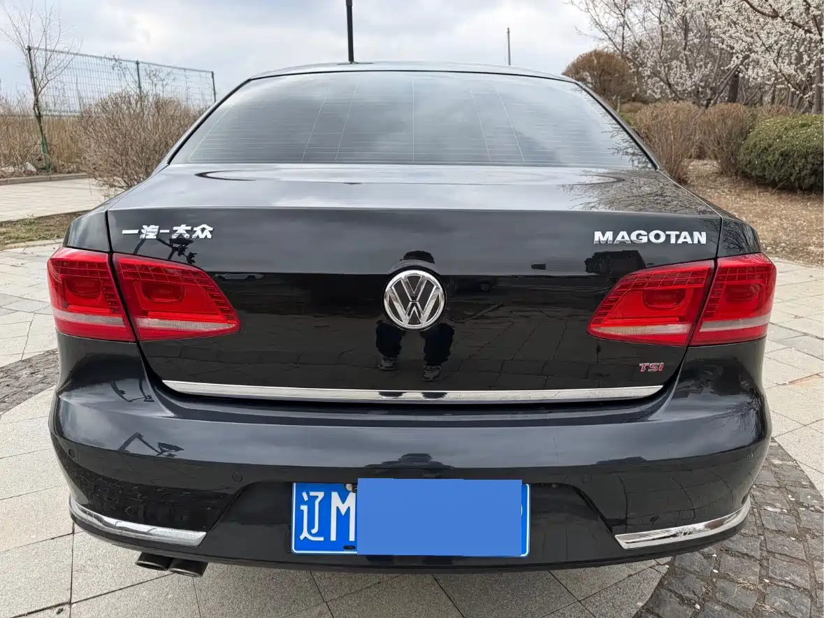 Volkswagen Magotan 2015 2.0TSI Luxury фото 7