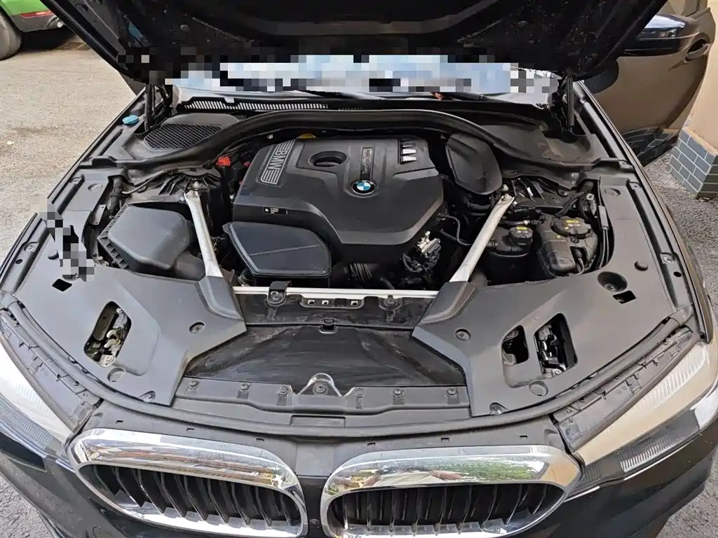 BMW 5 Series 2019 530Li Leading M Sport Package фото 11