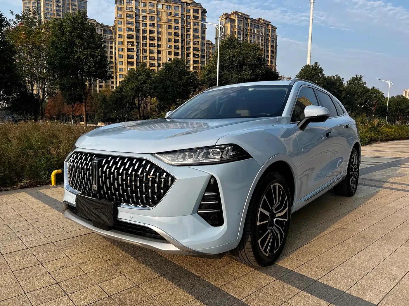 WEI PAI WEI BRAND MOCHA