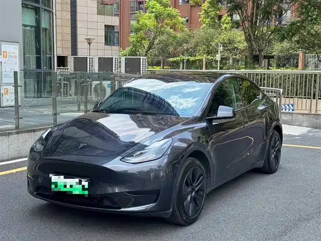 Tesla Model Y 2024 Rear-Wheel Drive Version