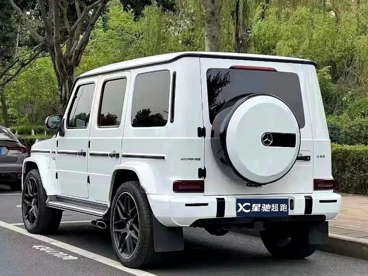 Mercedes-Benz G-Class 2022 G 350 фото 4
