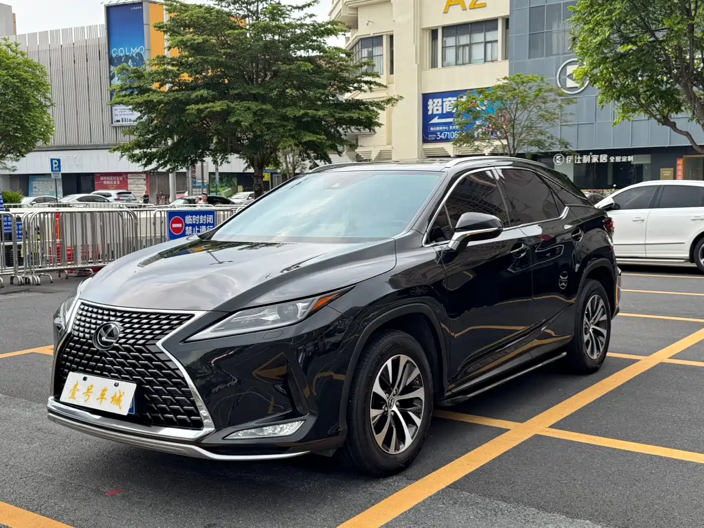 Lexus RX 2020 300 2WD Comfort Edition China V
