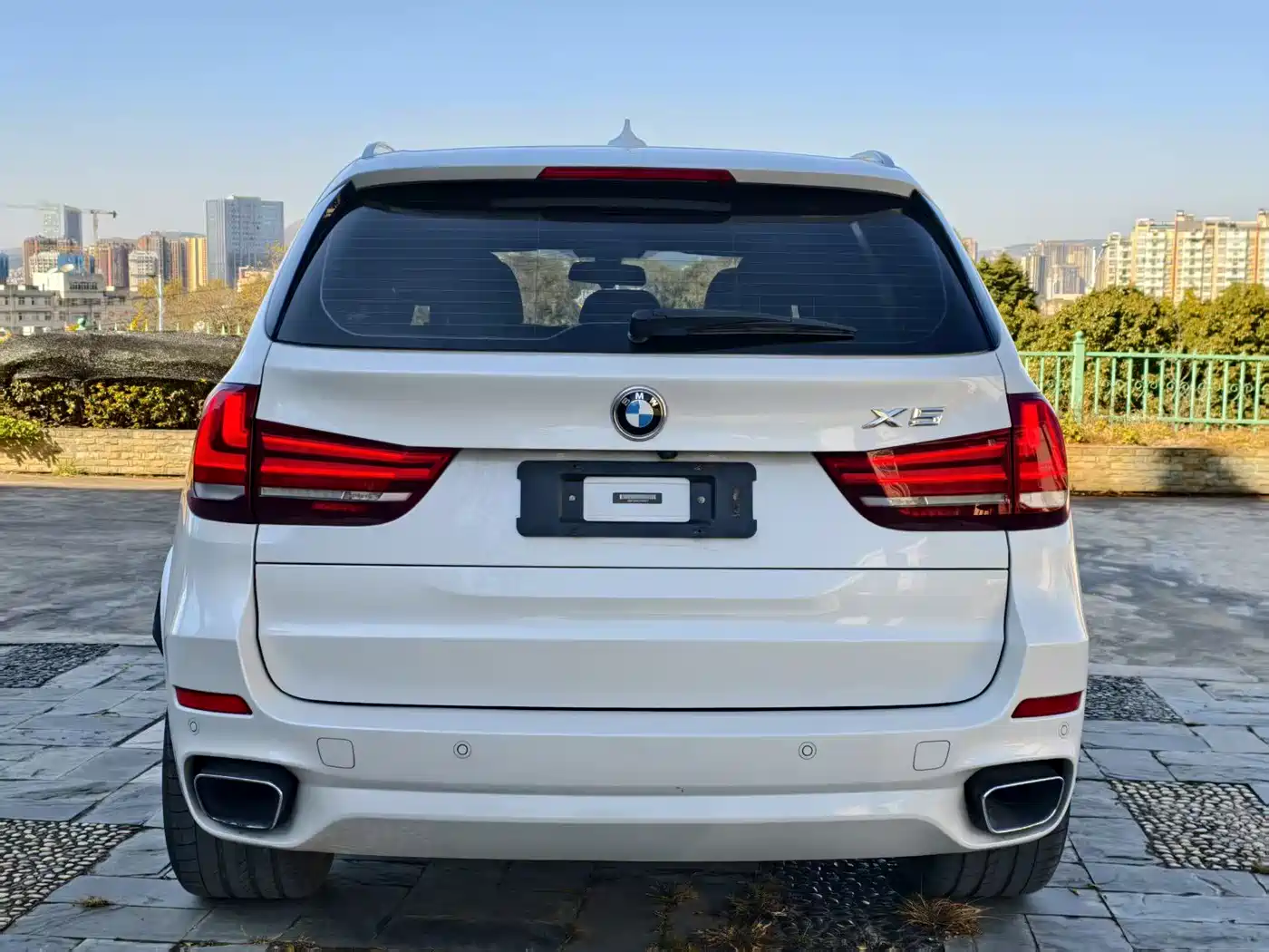 BMW X5 (Import) 2017 xDrive35i M Luxury Sport фото 8