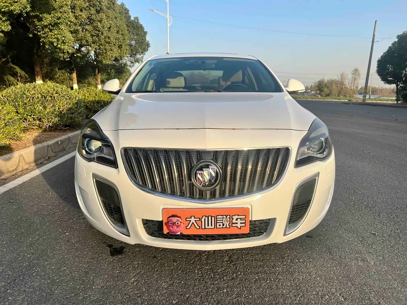 Buick Regal 2014 2.0L Leading Fashion Type фото 2