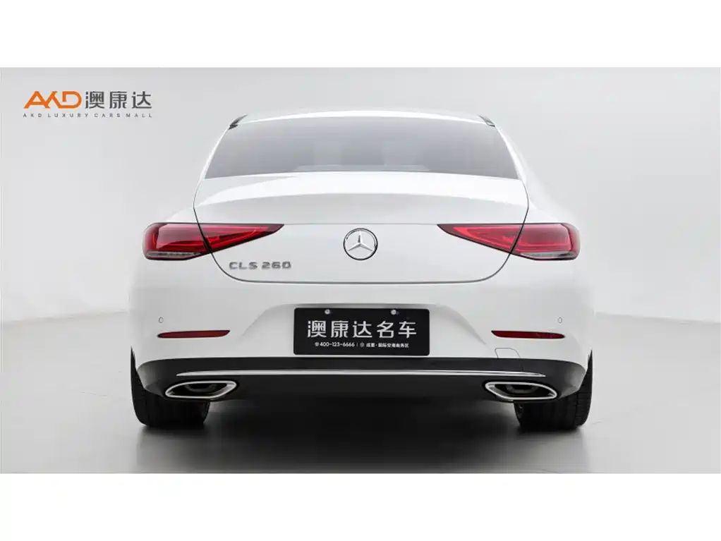 Mercedes-Benz CLS 2021 CLS 260 фото 4