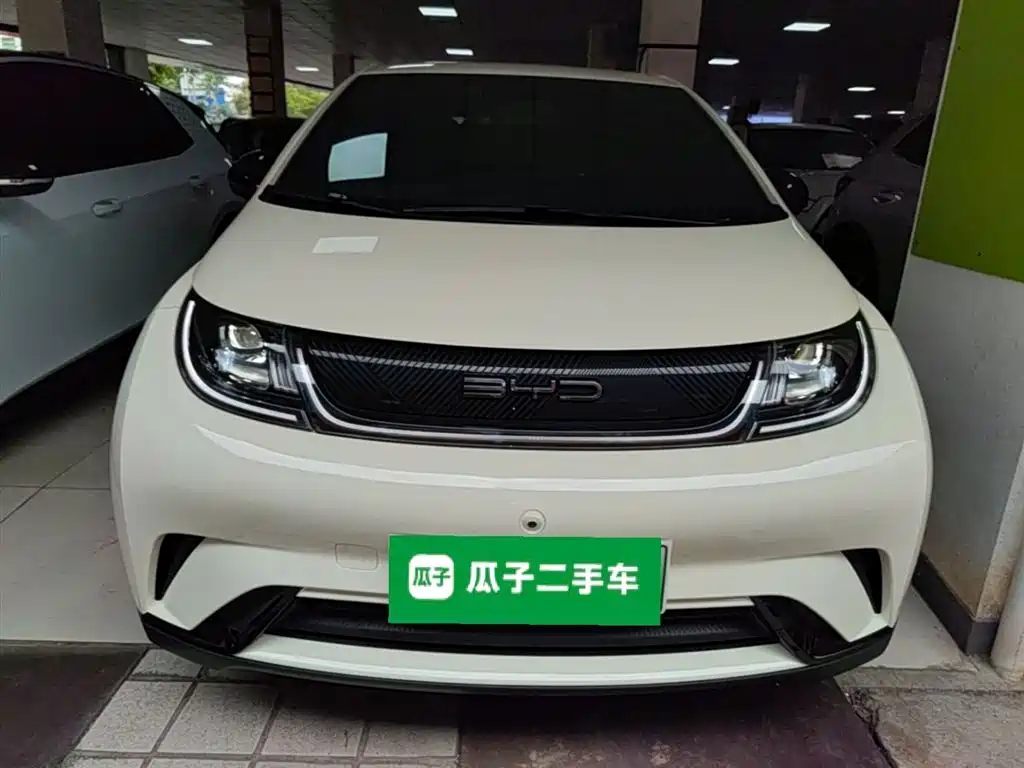 BYD Dolphin 2023 420km Freedom Edition фото 3