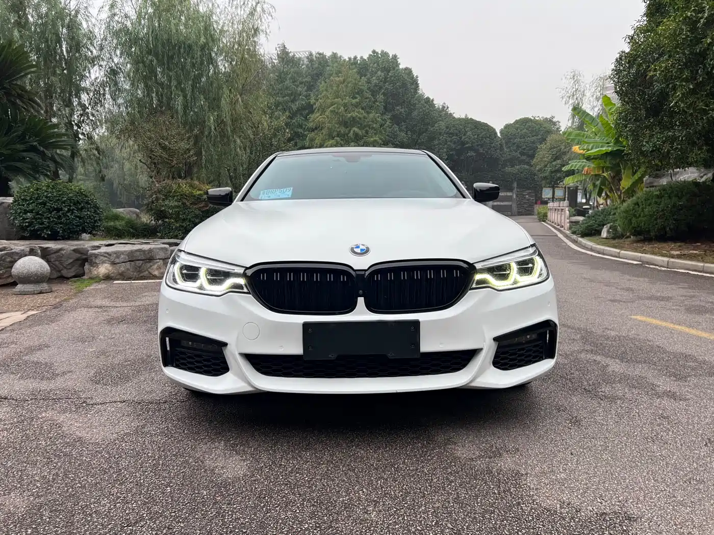 BMW 5 Series 2019 530Li Premium Luxury Package фото 2