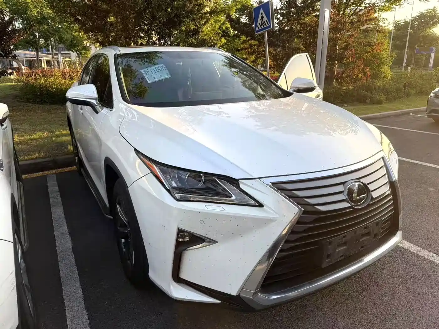 LEXUS RX