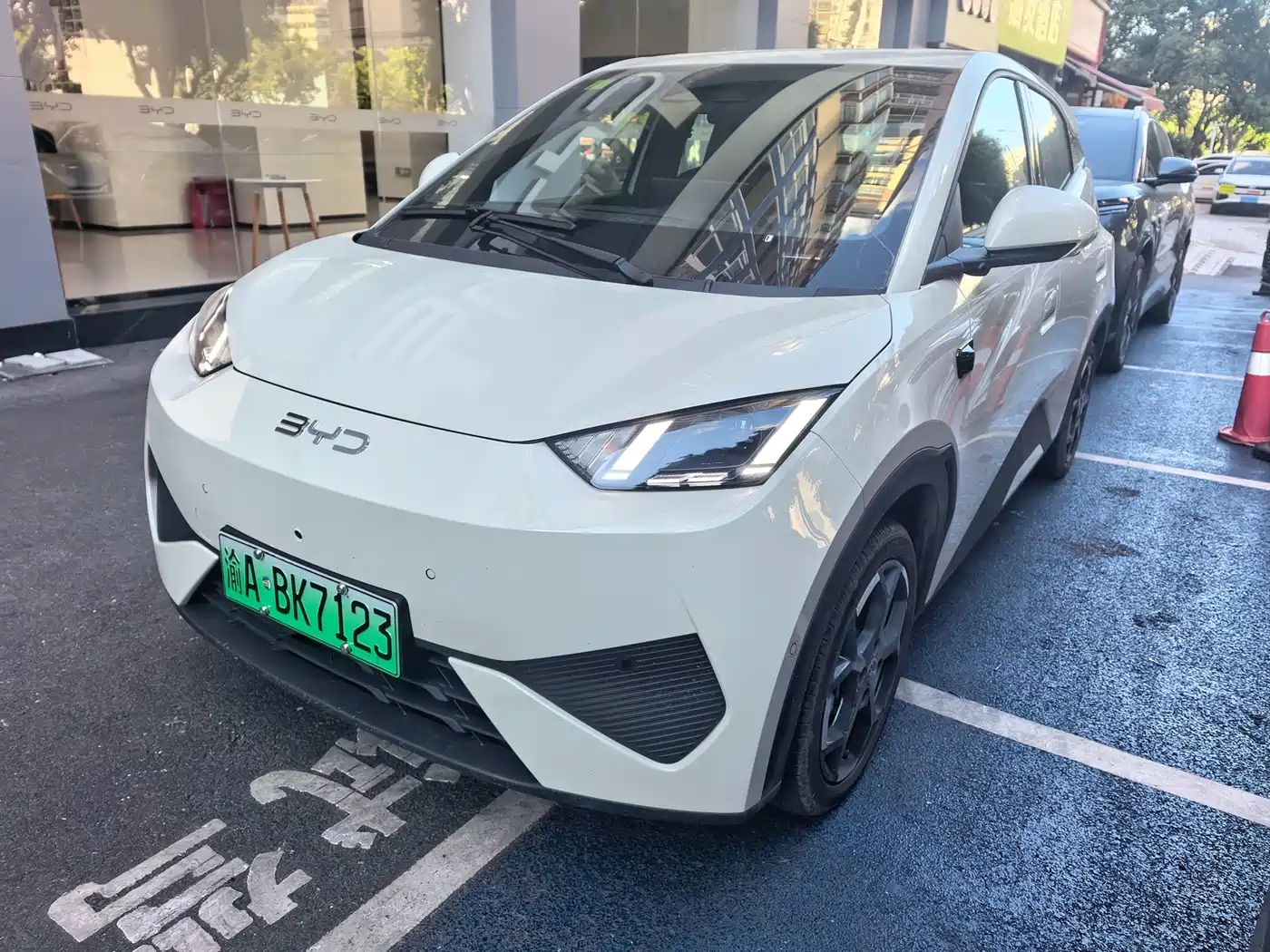 BYD Seagull 2025