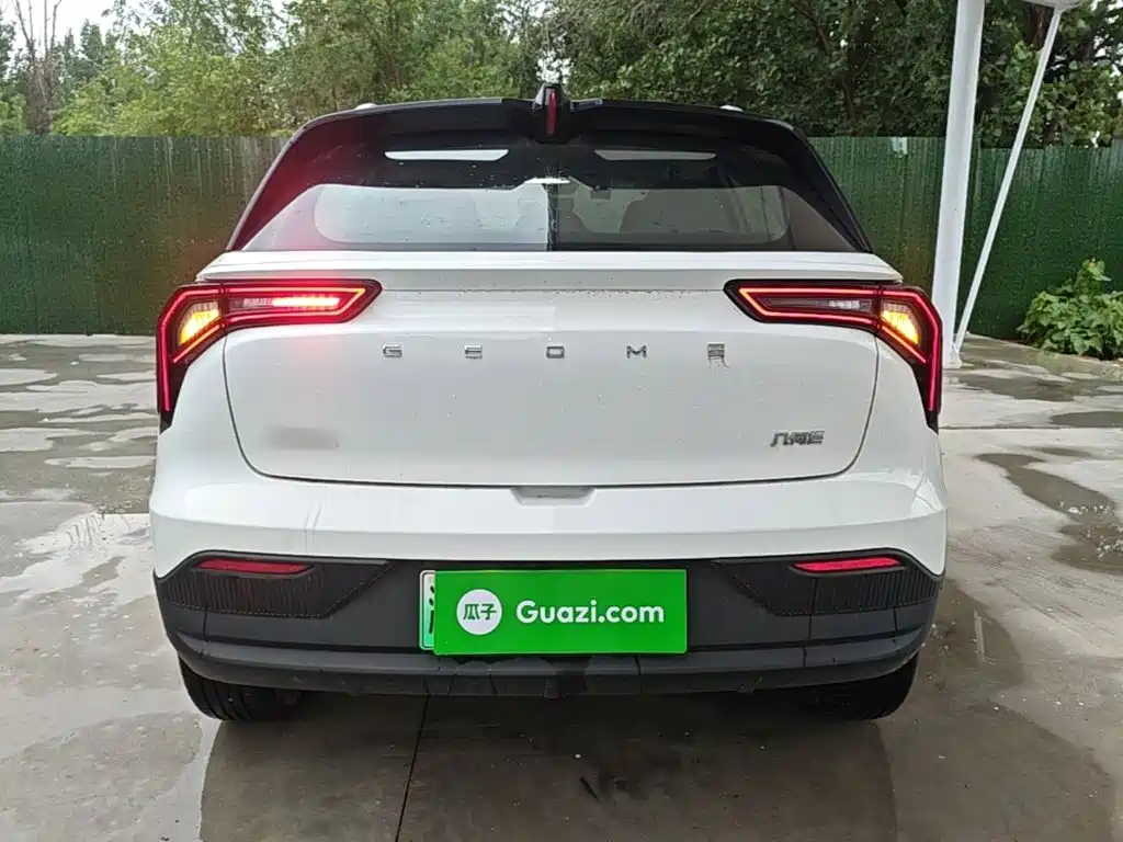 Geely Geometry E Firefly 2024 2024 Model 301km Light Flow