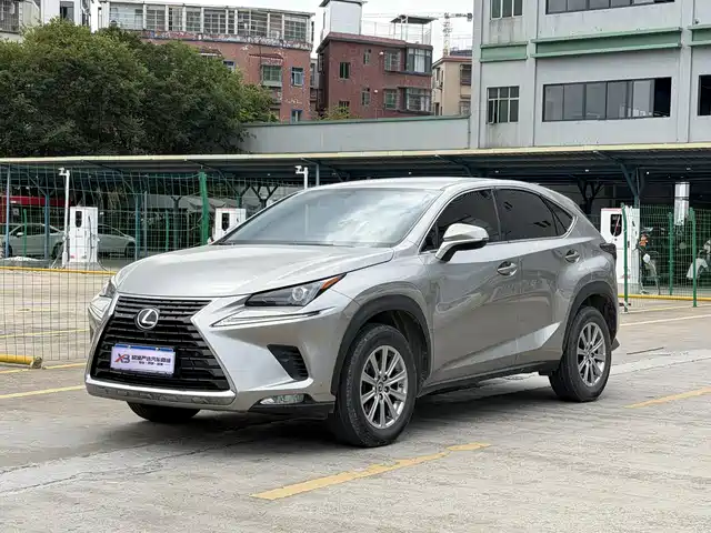 Lexus NX 2020 300 FWD F Line China V