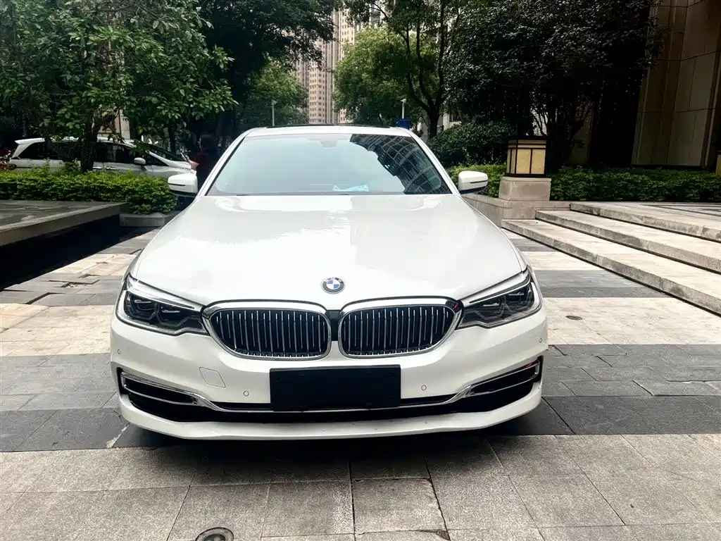 BMW 5 Series 2020 530Li Leading Luxury Package фото 2