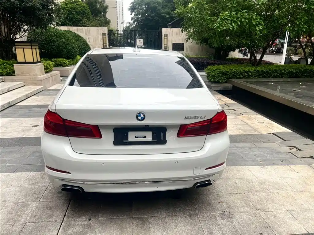 BMW 5 Series 2020 530Li Leading Luxury Package фото 5